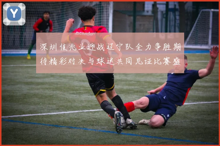 深圳佳兆业迎战辽宁队全力争胜期待精彩对决与球迷共同见证比赛盛况