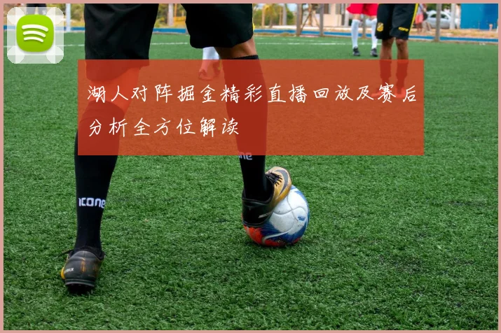 湖人对阵掘金精彩直播回放及赛后分析全方位解读