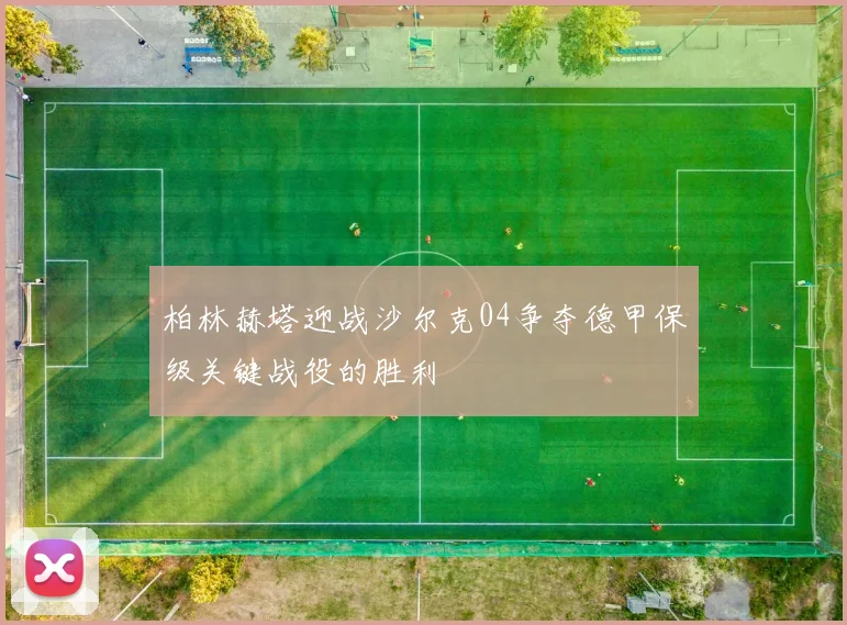 柏林赫塔迎战沙尔克04争夺德甲保级关键战役的胜利