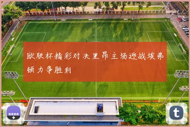 欧联杯精彩对决里昂主场迎战埃弗顿力争胜利