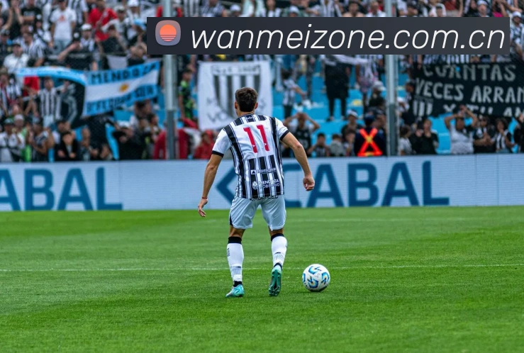 完美体育平台生态图